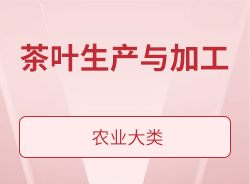 茶葉生產(chǎn)與加工