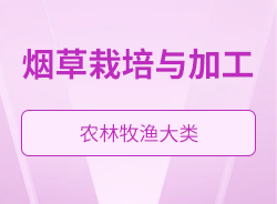 煙草栽培與加工