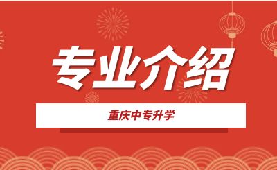 重慶市九龍坡職業教育中心電子商務專業介紹