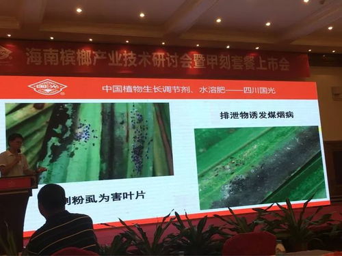 創(chuàng)新共贏 2018檳榔產(chǎn)業(yè)技術(shù)研討交流會(huì)暨技術(shù)推廣展望